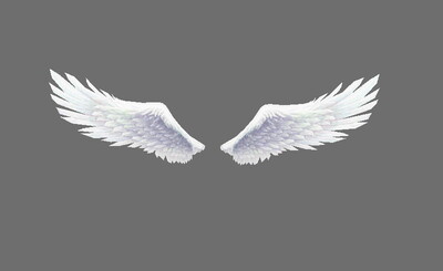 手绘 写实 低模 翅膀 白色羽翼 天使翅膀