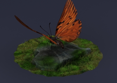 蝴蝶 大王蝶 昆虫 飞虫  翅目虫 ar vr 动物昆虫