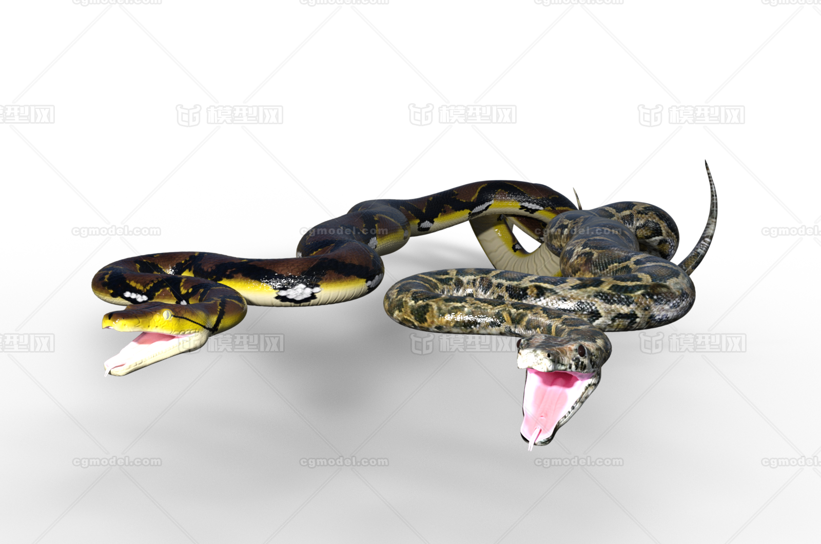 蟒蛇 巨蟒 花斑蛇 大蛇 蚺 蝮蛇 影视动画级别 冷血动物 全套4k贴图