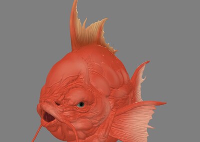 鱼头部的鱼精图片图片