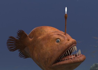 pbr安康鱼,海洋鱼类,灯笼鱼