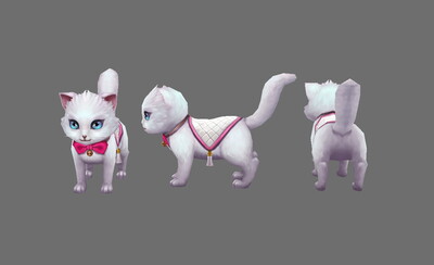 白猫坐骑小猫咪宠物猫波斯猫