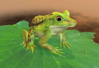 次时代pbr青蛙蛤蟆荷叶