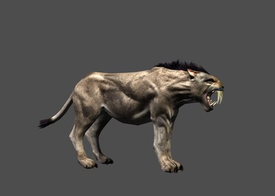 远古生物 剑齿虎 带动画