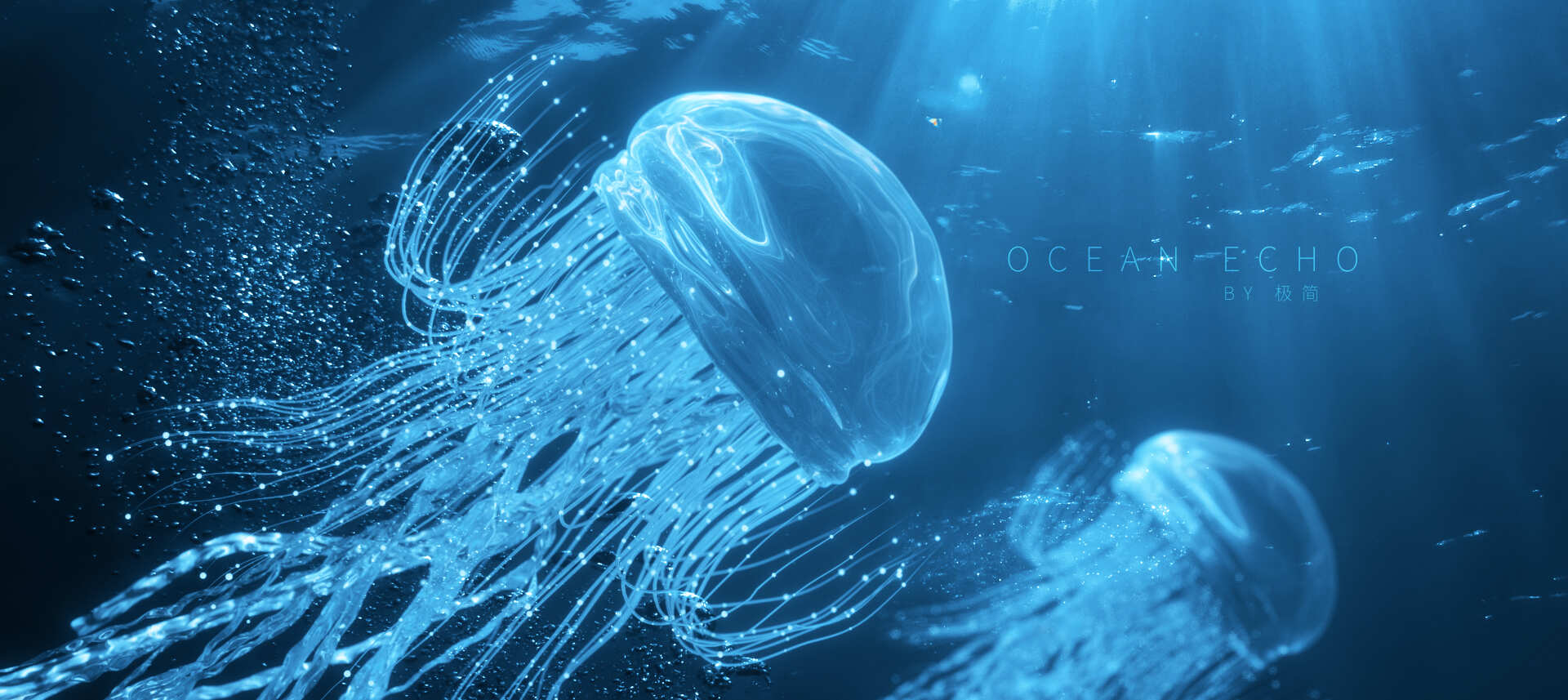 海洋中的梦幻水母