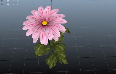 超好看的一朵小雏菊 白色雏菊 红色雏菊 菊花 maya fbx max