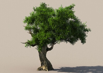 大树,树,榕树.参天大树,树木,古树, 写实树 风景树巨树.模型树合集.