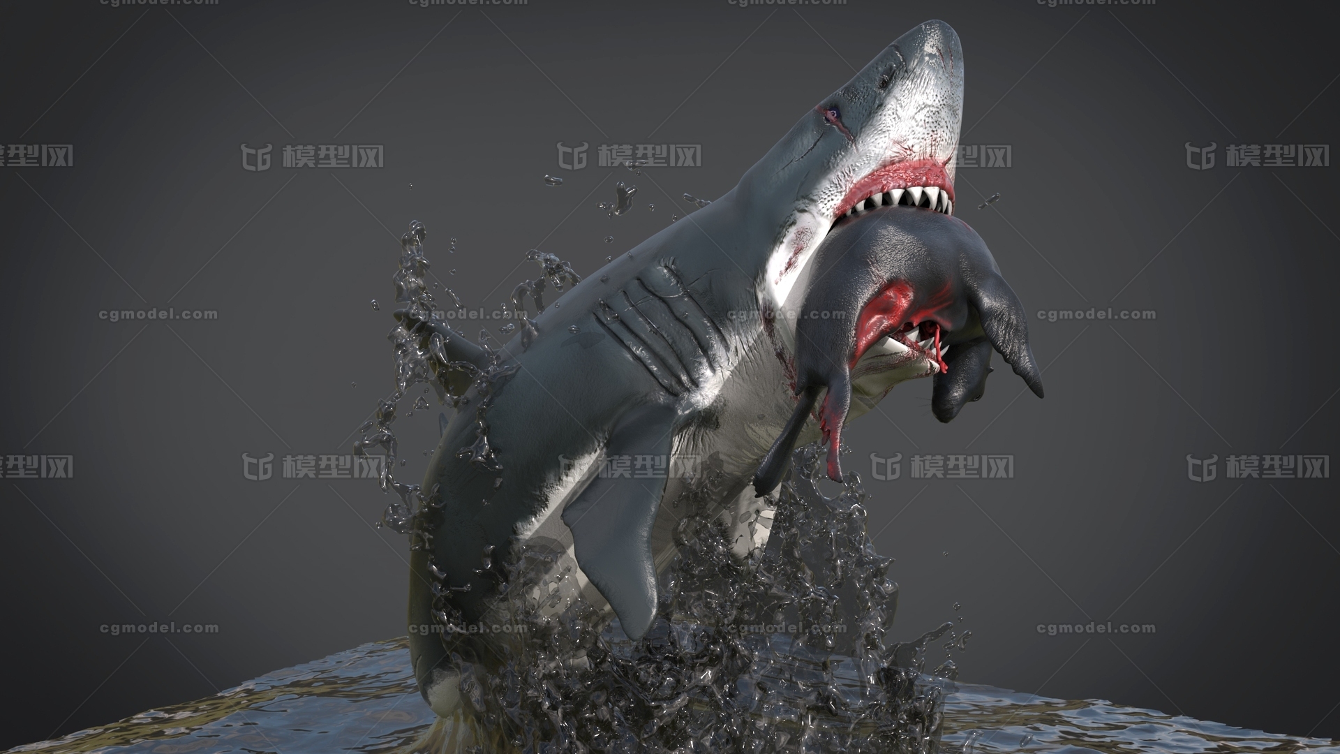 鲨鱼-大白鲨_华hi作品_动物鱼类_cg模型网