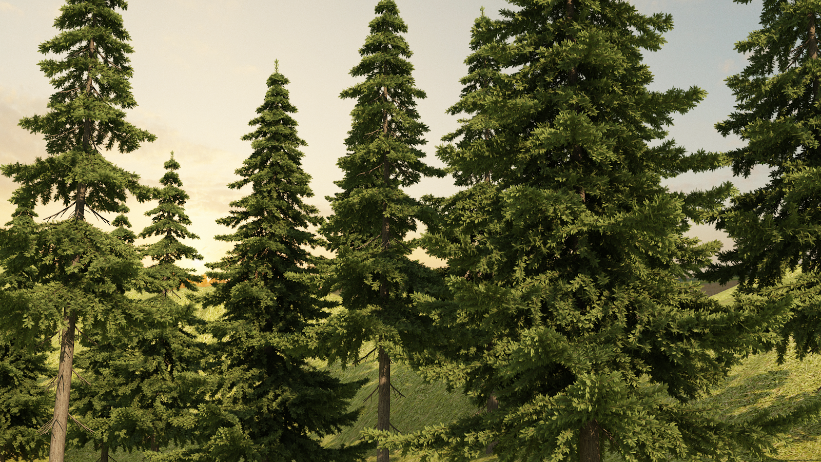 松树,超写实松树林,森林,树林,可特写