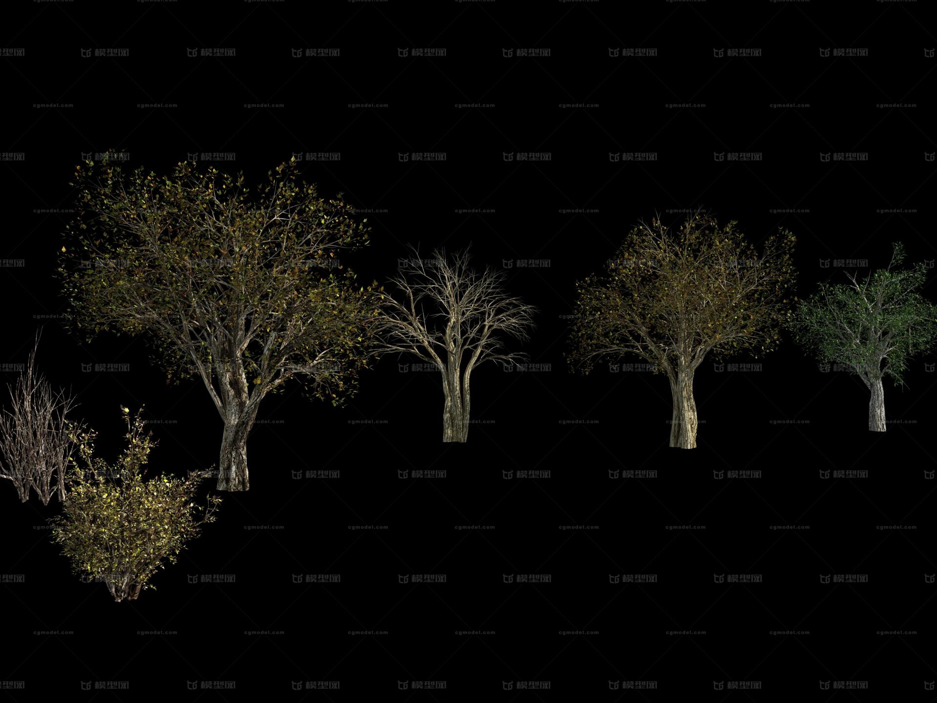 植物 大树 老树 沙漠植物 树干 树枝 灌木 模型-树木模型库-3ds Max(.max)模型下载-cg模型网