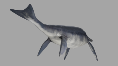 pbr 带动画 鱼龙 海洋爬行动物 恐龙 远古生物 秀尼鱼龙 萨斯特鱼龙科