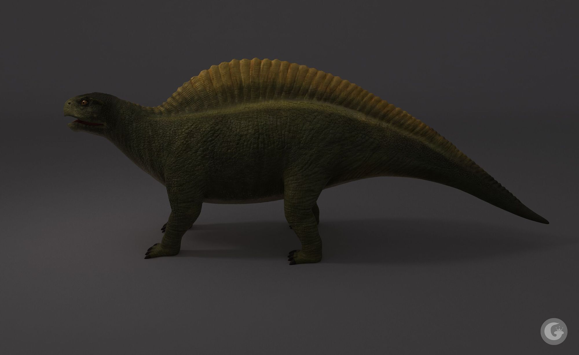 芙蓉龙_花龙general作品_角色/人物/生物_cg模型网