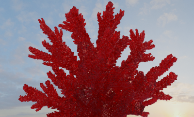 珊瑚,红珊瑚,海底植物,写实红珊瑚