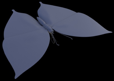 枯叶蝶  写实蝴蝶