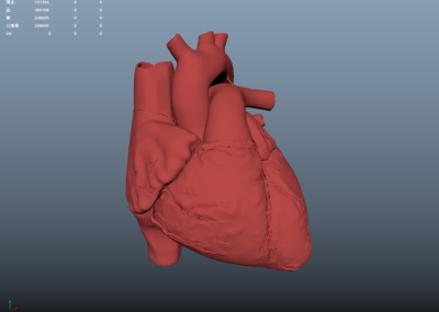 心臟剖面 心臟內部模型 各部位已分離好 虛擬現實3d模型