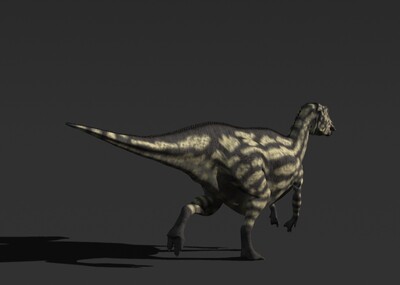 写实恐龙鸭嘴龙侏罗纪带跑步动画