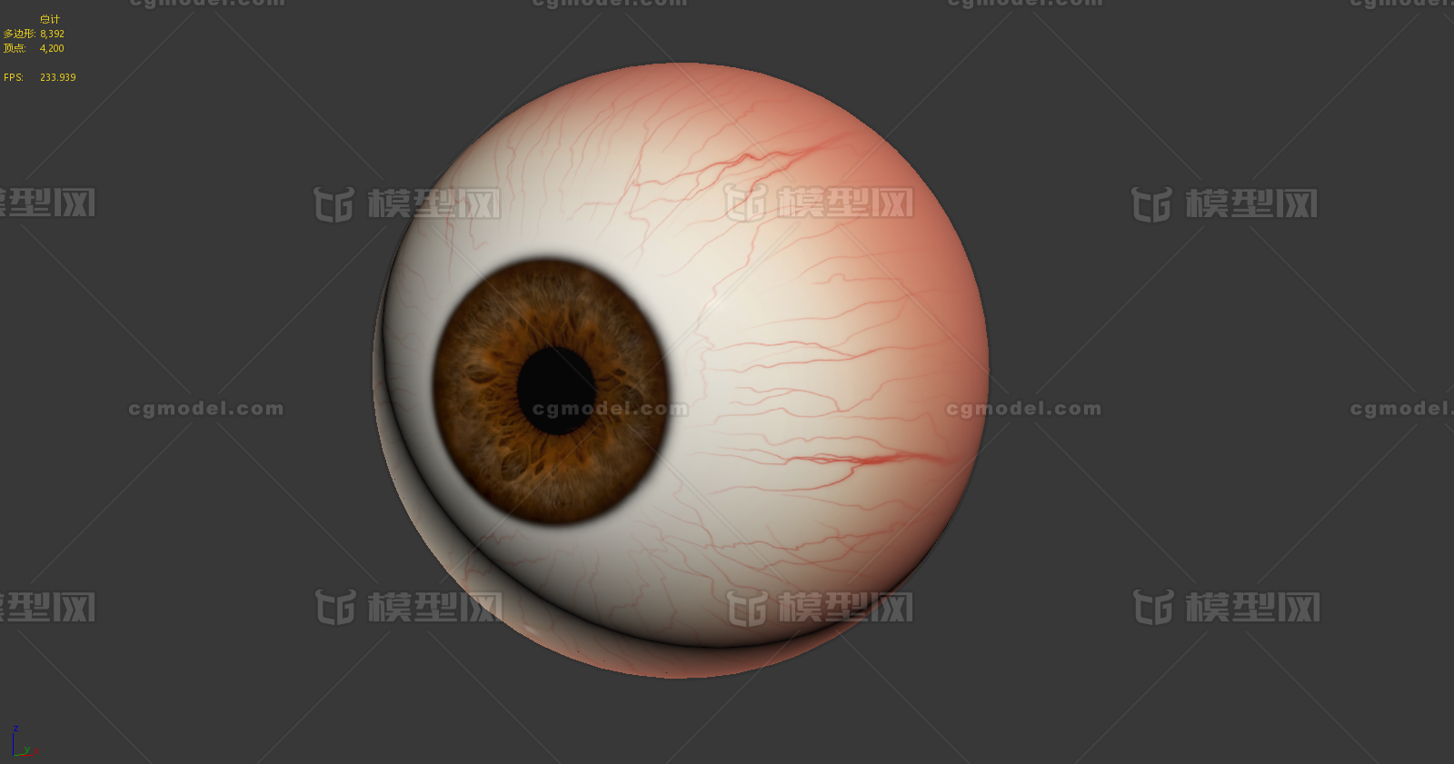 写实眼球眼睛医学眼睛眼球整体高清贴图eyeball眼球剖面眼解剖眼球 医疗解剖眼睛 Cg模型网 Cgmodel 三维设计师交流互动平台 专注多品类3d模型下载 原创作品分享 软件学习