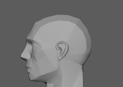 人头肌肉块面参考