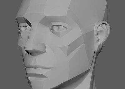 人头肌肉块面参考