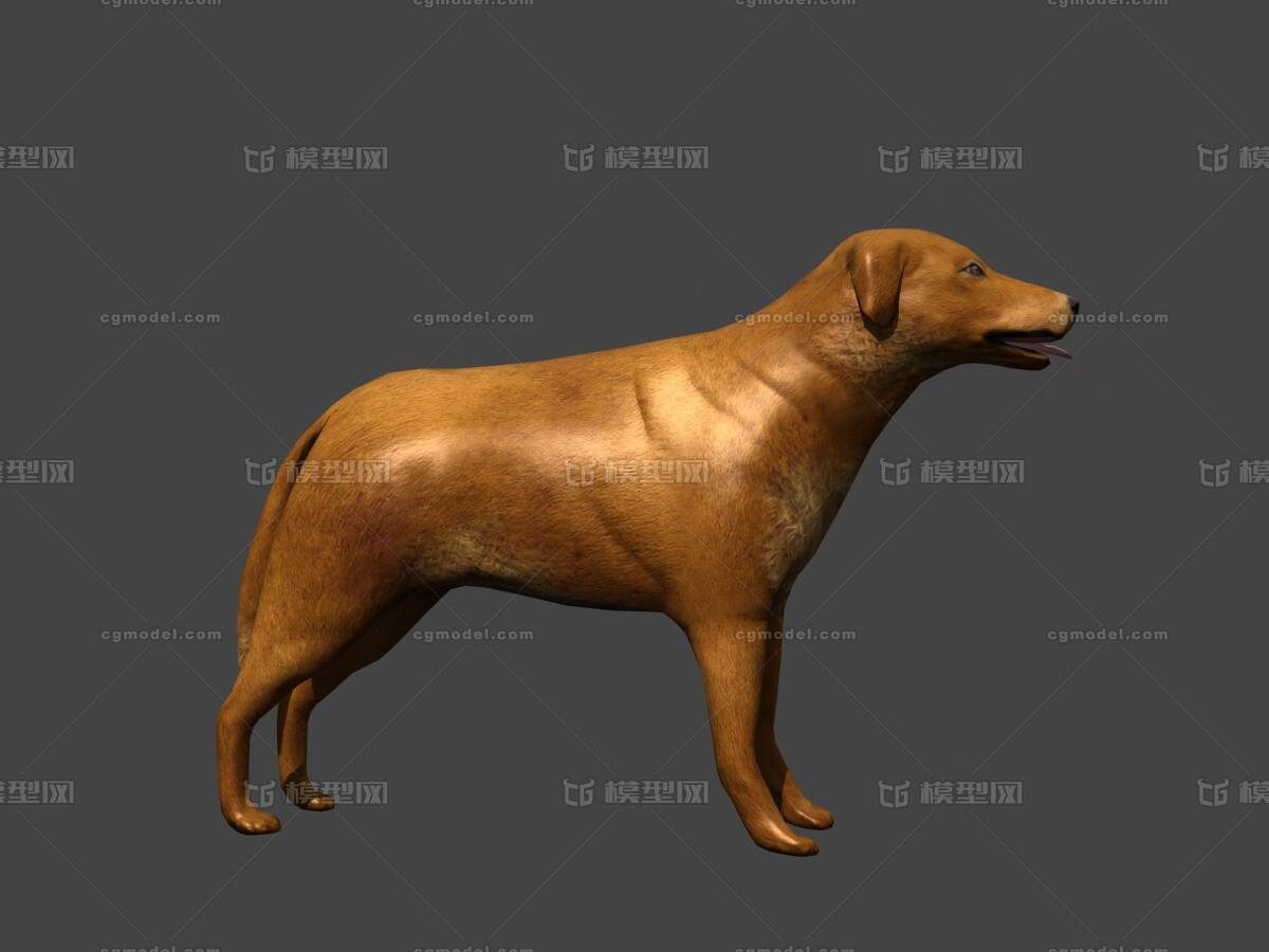 写实家犬大黄狗宠物狗带bip绑定