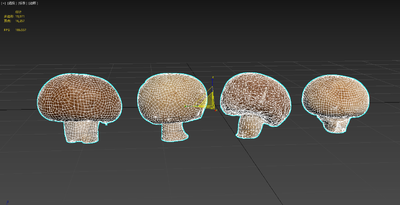 蘑菇 菌类植物 蘑菇群 游戏蘑菇 蘑菇 菌