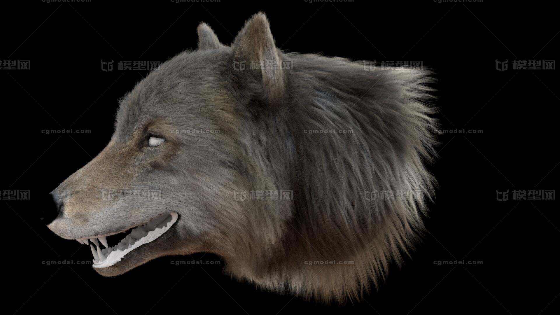 狼毛发(yeti塑形)