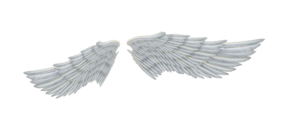 翅膀 写实翅膀动画 天使翅膀 Yqxuanwuqk作品 人物其他人物其他 Cg模型网