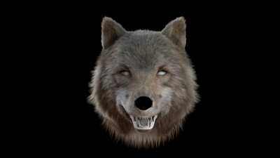 狼毛发(yeti塑形)