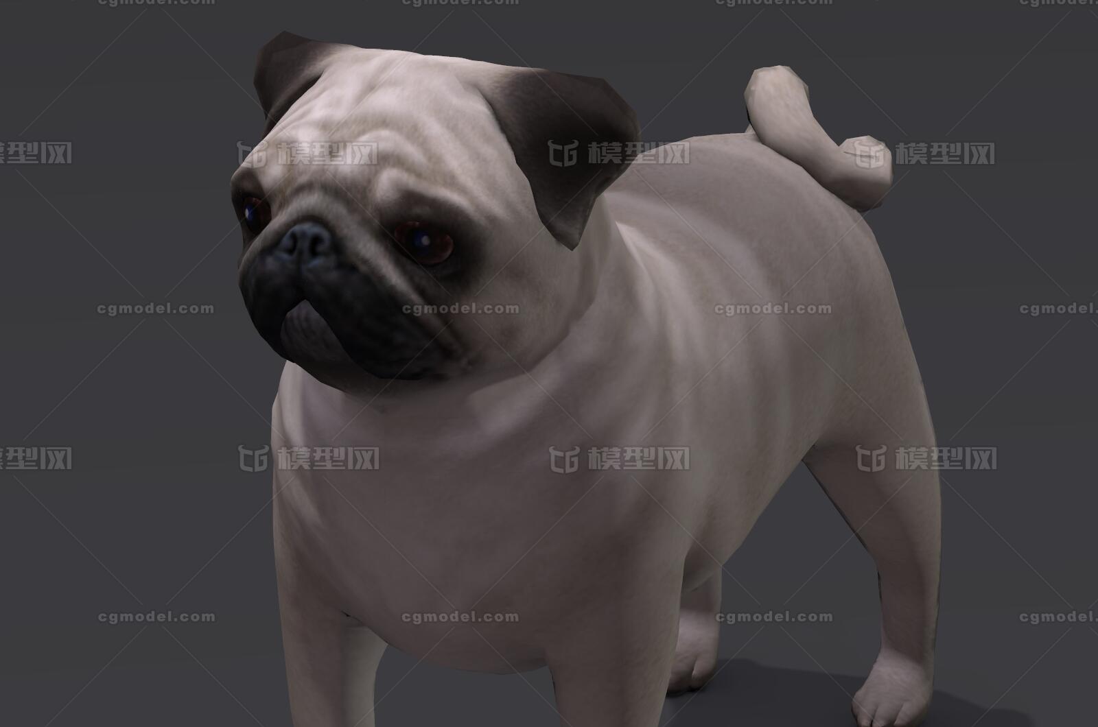 Pug 哈巴狗八哥犬巴哥犬沙皮狗宠物犬狗小狗牧犬宠物斗牛犬 Cg模型网 Cgmodel 三维设计师交流互动平台 专注多品类3d模型下载 原创作品分享 软件学习