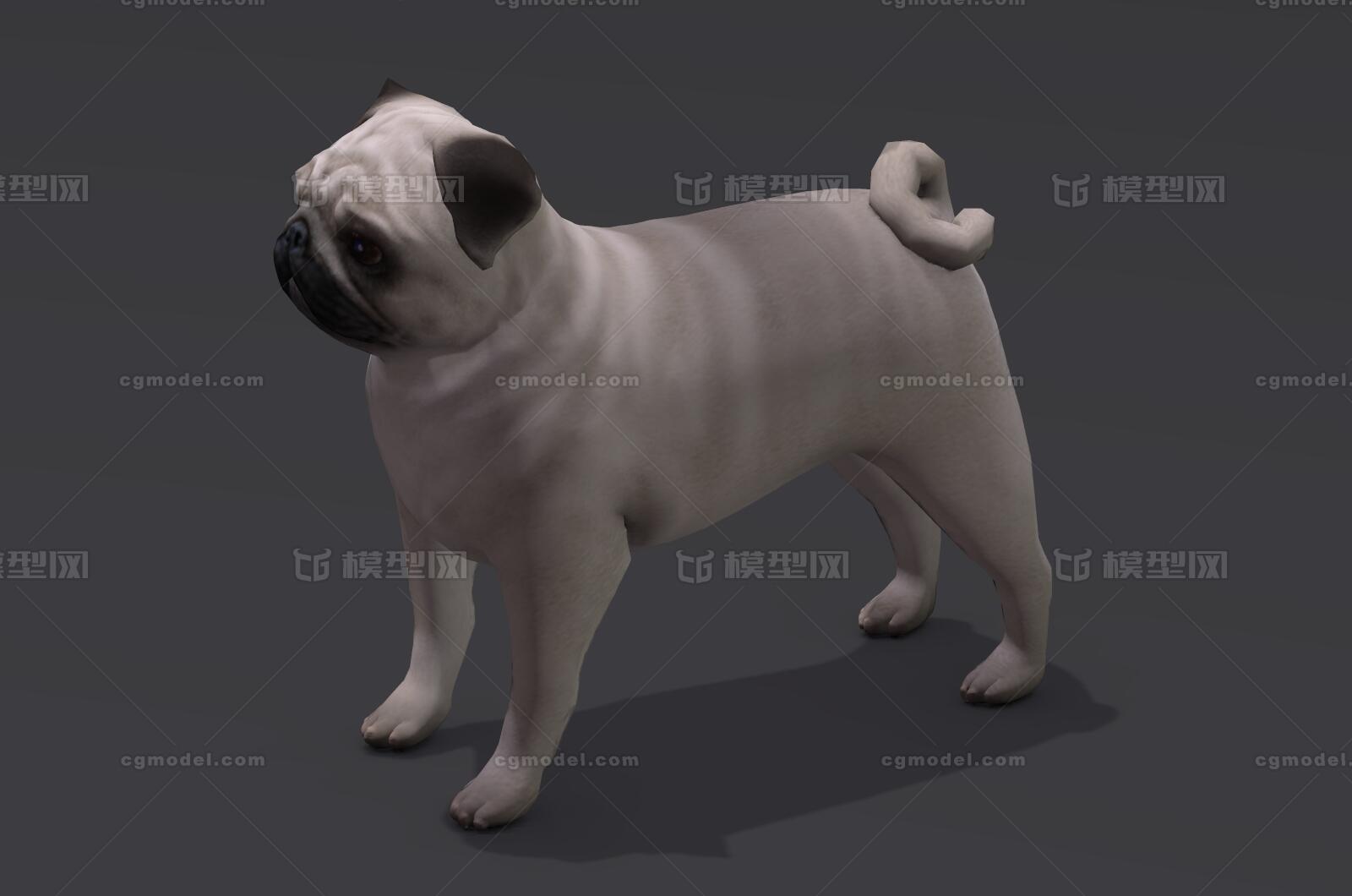 Pug 哈巴狗八哥犬巴哥犬沙皮狗宠物犬狗小狗牧犬宠物斗牛犬 Cg模型网 Cgmodel 三维设计师交流互动平台 专注多品类3d模型下载 原创作品分享 软件学习