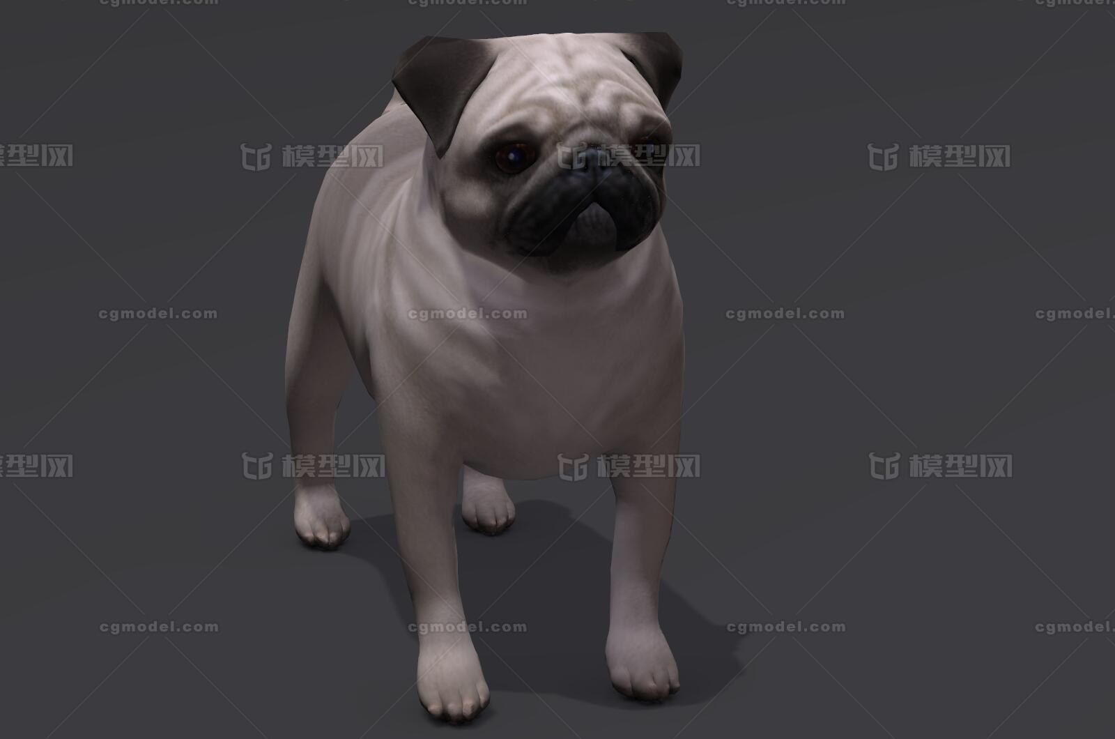 Pug 哈巴狗八哥犬巴哥犬沙皮狗宠物犬狗小狗牧犬宠物斗牛犬 Cg模型网 Cgmodel 三维设计师交流互动平台 专注多品类3d模型下载 原创作品分享 软件学习