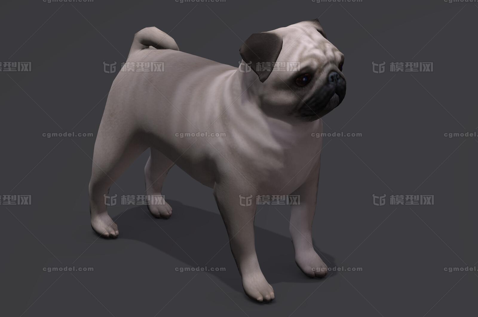 Pug 哈巴狗八哥犬巴哥犬沙皮狗宠物犬狗小狗牧犬宠物斗牛犬 Cg模型网 Cgmodel 三维设计师交流互动平台 专注多品类3d模型下载 原创作品分享 软件学习