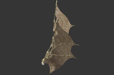 翼骨 骨翅 翅膀 翼 骨头翅膀 飞龙之翼 骨龙翅膀 恶魔翅膀 蝙蝠翅膀