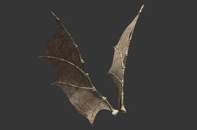 翼骨 骨翅 翅膀 翼 骨头翅膀 飞龙之翼 骨龙翅膀 恶魔翅膀 蝙蝠翅膀