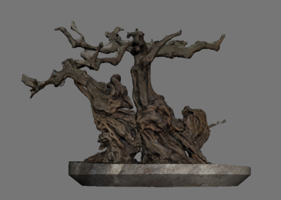 古树 老树 枯树 死树 树根 枯木 木雕 根雕