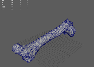 动物骨头写实次世代4k贴图