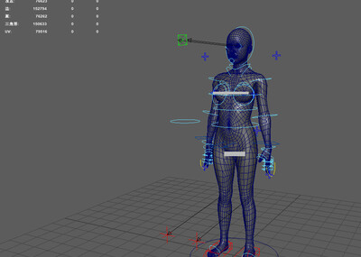 绑定女人体 练习专用 标准布线_逍遥江湖作品_人物女人_cg模型网