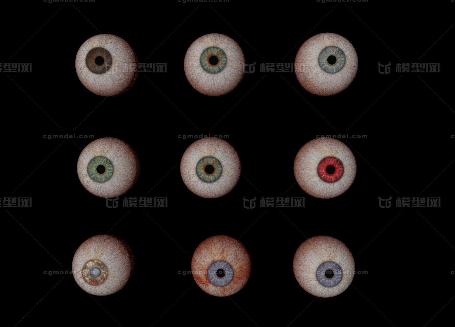 眼球 眼睛 医学视频模型 超写实 眼球整体 多种*