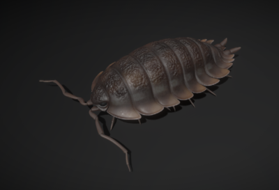 次世代虫子 潮虫 土鳖 土鳖虫 带动画