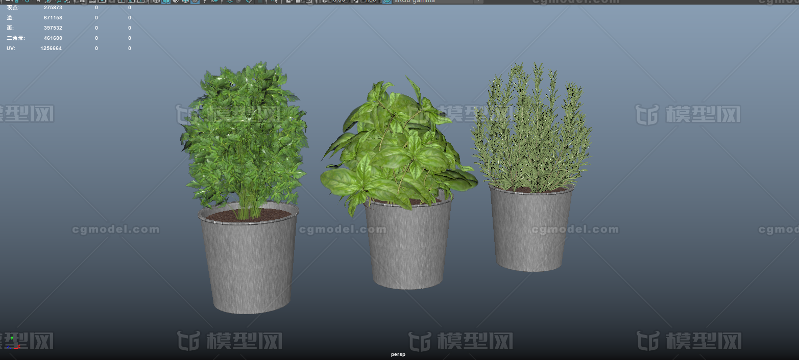 室内盆栽模型模型-花卉模型库-Maya(.ma/.mb)模型下载-cg模型网
