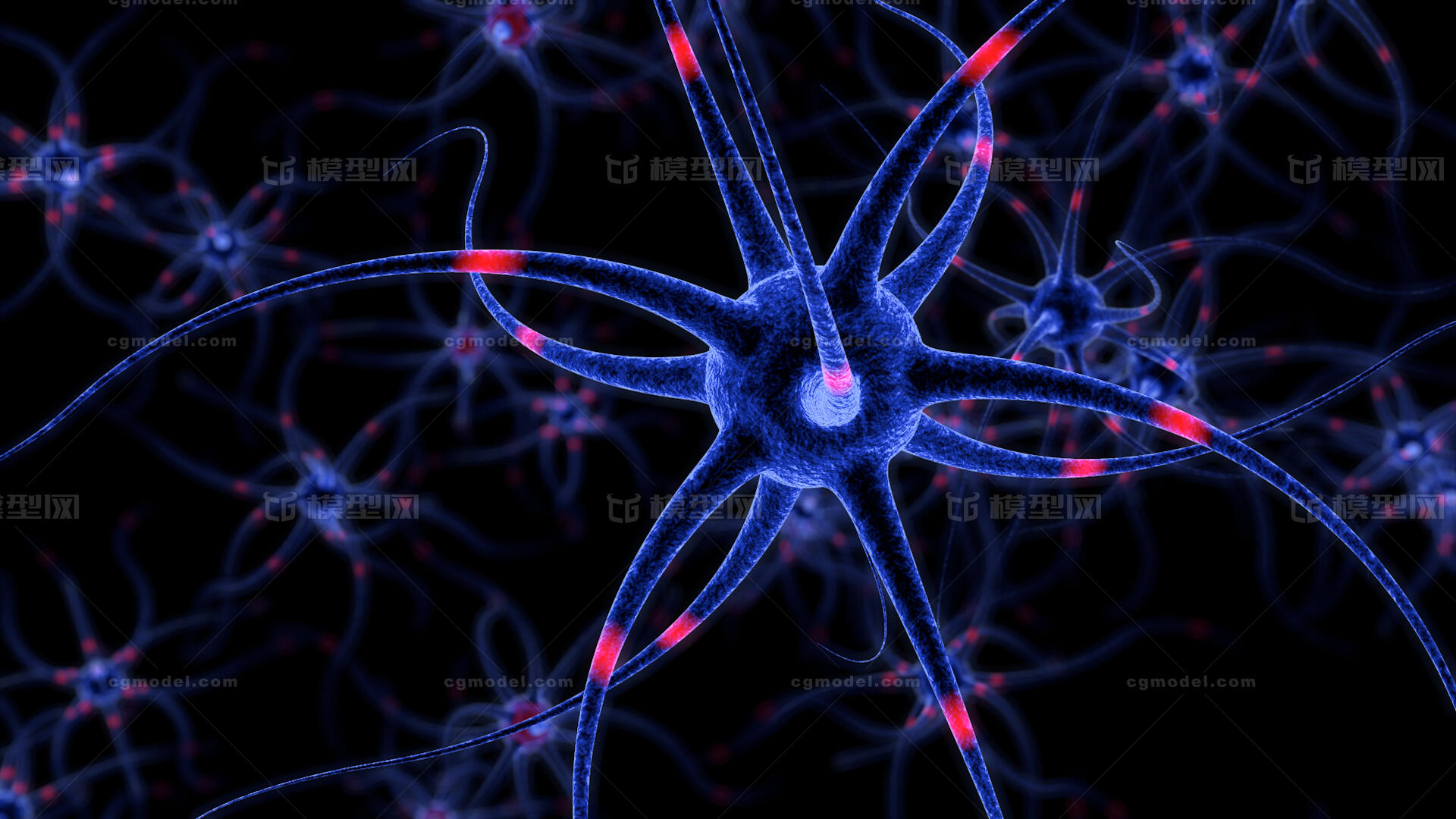 大脑细胞 神经元 电流动画 镜头动画_正经姑娘作品_生物结构神经_cg