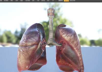 ue4次世代pbr写实真实脑子 心脏 肝脏 肺 眼球 舌头 合集人体器官