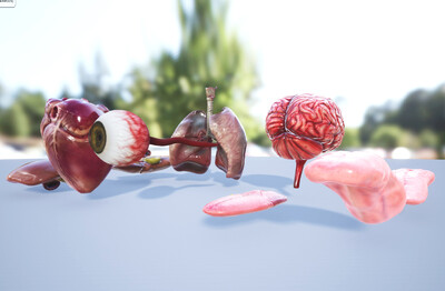 ue4次世代pbr写实真实脑子 心脏 肝脏 肺 眼球 舌头 合集人体器官