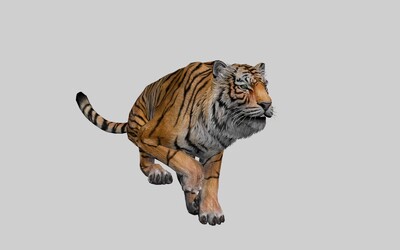 奔跑的老虎3d模型