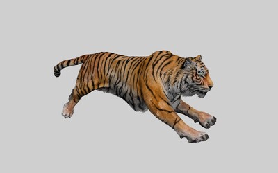 奔跑的老虎3d模型