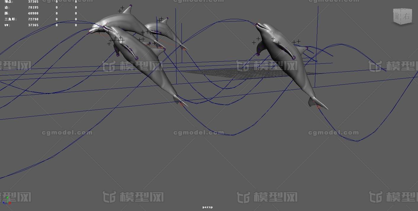 海豚游泳動畫 海豚跳躍 潛水 海洋生物 江豚 鯨魚 dolphin帶綁定 帶