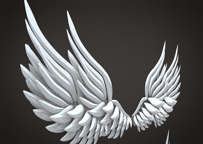 翅膀 白翅膀 羽翼 天使之翼 天马翅膀 翅膀套装 天使翅膀 鸟的翅膀