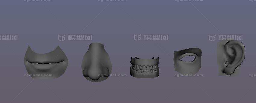 人五官分解 嘴巴模型-人体器官/组织模型库-Maya(.ma/.mb)模型下载-cg模型网