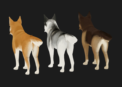 二次元 卡通 手绘 哈士奇 黄狗 德牧 狗