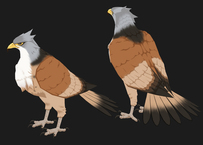 二次元 卡通 手绘 鹰